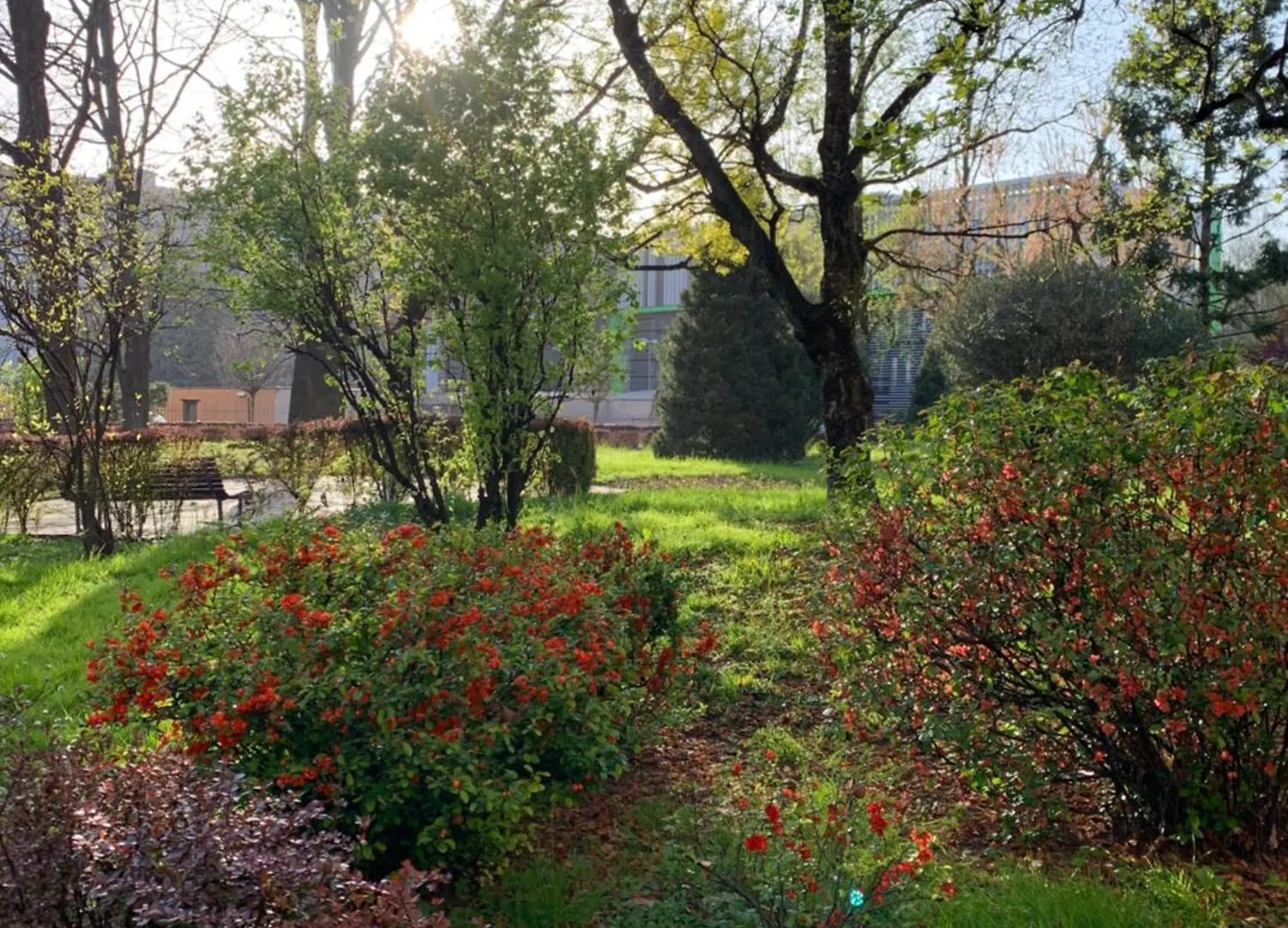 Vittoria Citylife Apartment Milano
