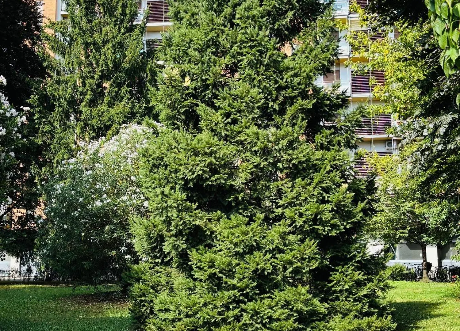 Vittoria Citylife Apartment Milano