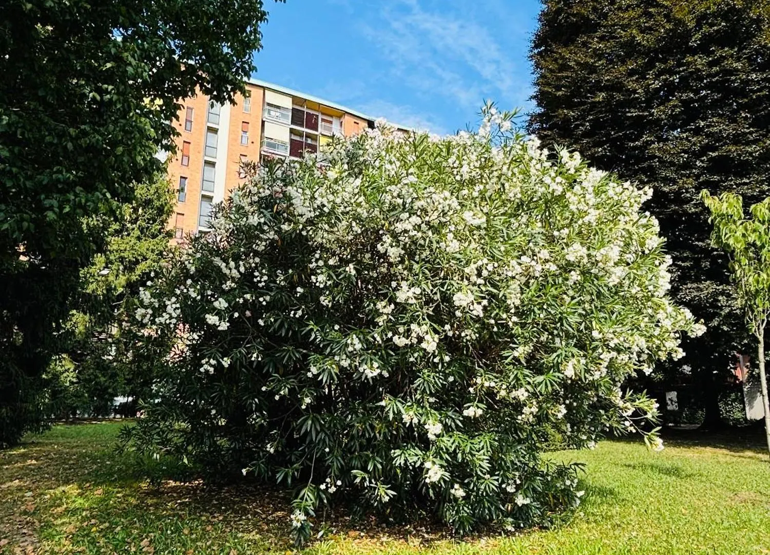 Vittoria Citylife Apartment Milano Italien